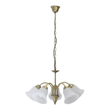 Rabalux - Candelabro numa corrente 5xE14/40W/230V