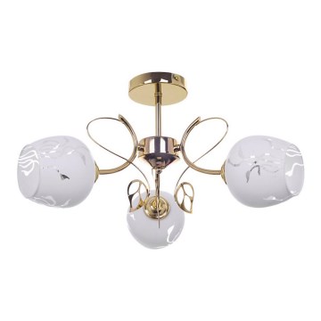 Rabalux - Candelabro suspenso 3xE27/40W/230V