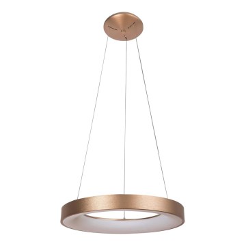 Rabalux - Candelabro suspenso LED CARMELLA LED/50W/230V
