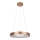 Rabalux - Candelabro suspenso LED CARMELLA LED/50W/230V