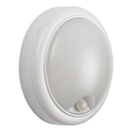 Rabalux - Iluminação de parede exterior LED com sensor LED/15W/230V IP54