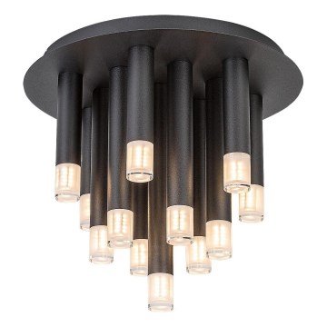 Rabalux - Iluminação de teto 13xG9/5W/230V preto