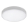 Rabalux - Iluminação de teto de casa de banho LED LED/18W/230V 3000-6000K IP44 branca