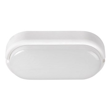 Rabalux - Iluminação de teto exterior LED LED/15W/230V IP54 branco