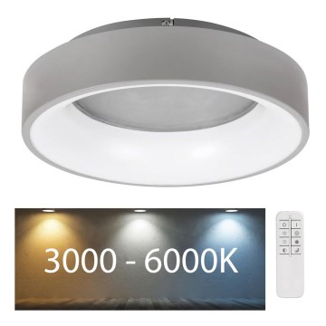 Rabalux - Iluminação de teto LED com regulação LED/24W/230V redondo 3000-6000K + comando