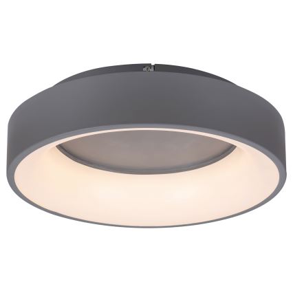 Rabalux - Iluminação de teto LED com regulação LED/24W/230V redondo 3000-6000K + comando