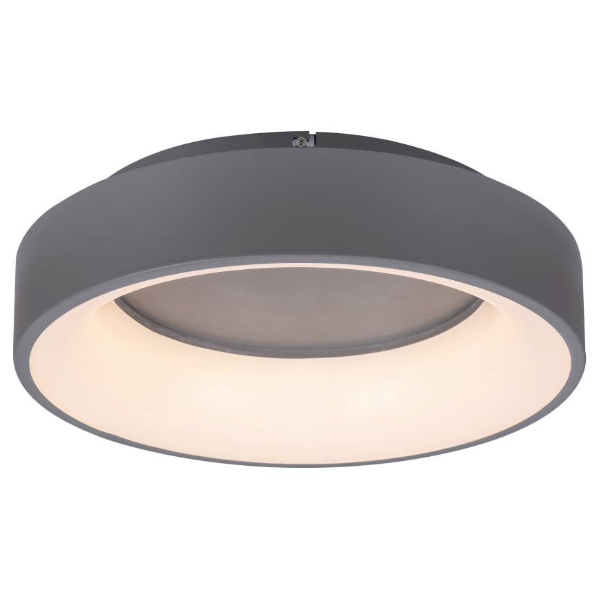 Rabalux - Iluminação de teto LED com regulação LED/24W/230V redondo 3000-6000K + comando