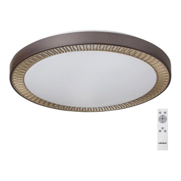 Rabalux - Iluminação de teto LED com regulação LED/40W/230V + CR 3000-6000K