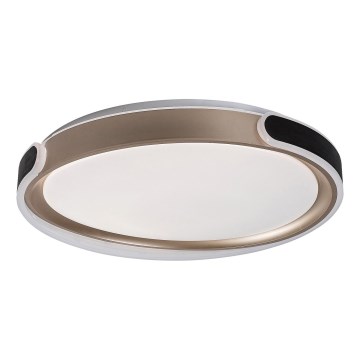 Rabalux - Iluminação de teto LED com regulação LED/48W/230V 3000-6500K + comando