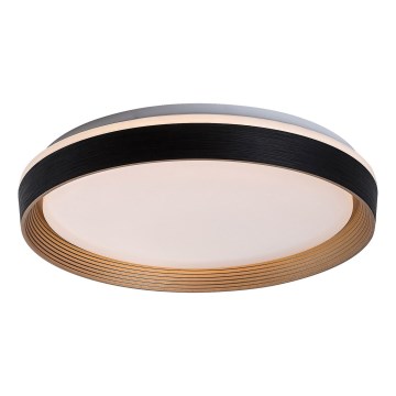 Rabalux - Iluminação de teto LED com regulação LED/48W/230V 3000-6500K + comando