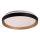 Rabalux - Iluminação de teto LED com regulação LED/48W/230V 3000-6500K + comando