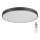 Rabalux - Iluminação de teto LED com regulação LED/60W/230V 60 cm + controlo remoto
