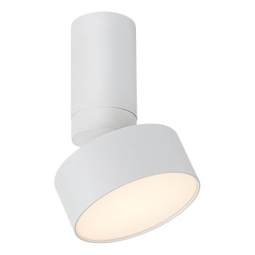 Rabalux - Iluminação de teto LED LED/10W/230V 3000K branco