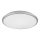 Rabalux - Iluminação de teto LED LED/18W/230V 4000K prateado 27 cm
