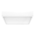 Rabalux - Iluminação de teto LED LED/22W/230V 3000/4000/6000K 21x21 cm branco
