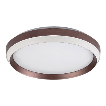 Rabalux - Iluminação de teto LED LED/24W/230V 3000K