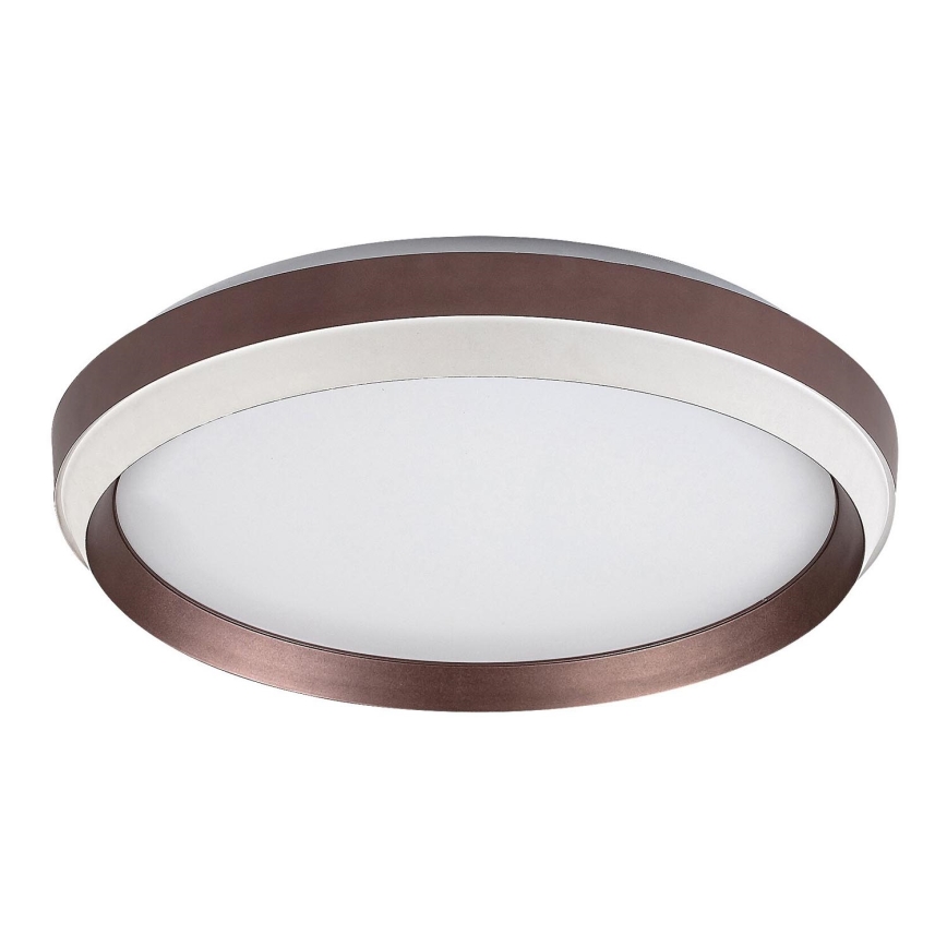 Rabalux - Iluminação de teto LED LED/24W/230V 3000K
