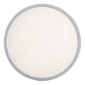 Rabalux - Iluminação de teto LED LED/24W/230V 4000K diâmetro 30 cm branco