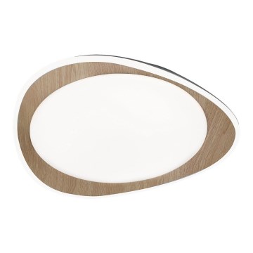 Rabalux - Iluminação de teto LED LED/24W/230V