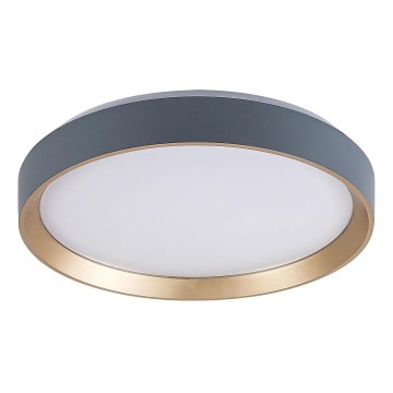 Rabalux - Iluminação de teto LED LED/25W/230V 3000K diâmetro 38 cm