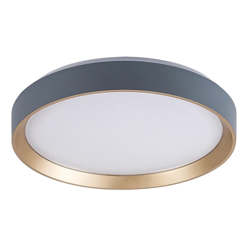 Rabalux - Iluminação de teto LED LED/25W/230V 3000K diâmetro 38 cm
