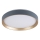 Rabalux - Iluminação de teto LED LED/25W/230V 3000K diâmetro 38 cm
