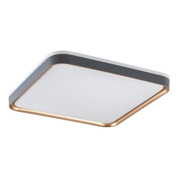 Rabalux - Iluminação de teto LED LED/26W/230V 3000K