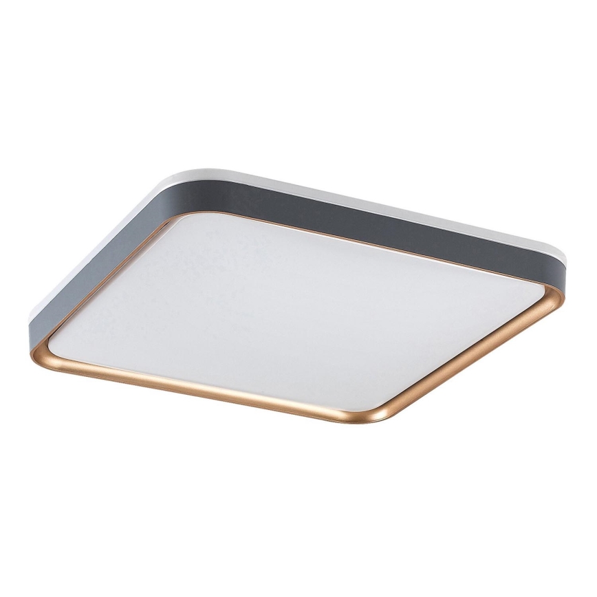 Rabalux - Iluminação de teto LED LED/26W/230V 3000K