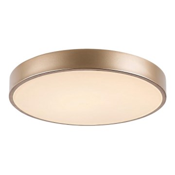Rabalux - Iluminação de teto LED LED/36W/230V 3000K