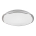 Rabalux - Iluminação de teto LED LED/45W/230V 4000K prateado 48 cm