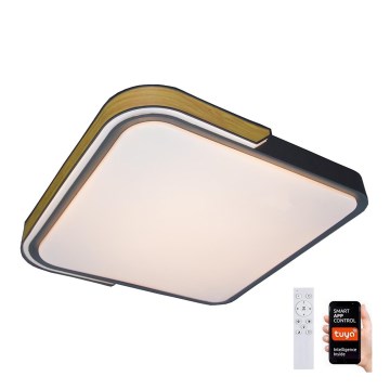 Rabalux - Iluminação de teto LED RGB com regulação LED/48W/230V 3000K/4000K/6500K Wi-Fi Tuya + controlo remoto