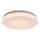 Rabalux - Iluminação de teto para casa de banho LED LED/12W/230V 3000/4000/6000K IP44