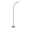 Rabalux - Lâmpada de pé LED tátil dimmerizável LED/10W/230V 3000-6000K preta