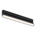 Rabalux - LED Candeeiro de teto para sistema de carris monofásico LED/16W/230V 3000K 33 cm preto