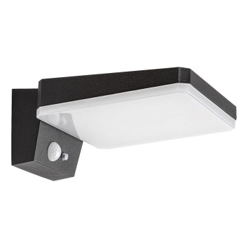 Rabalux - LED Iluminação de parede solar com regulação e sensor LED/4,4W/3,7V IP54 preto