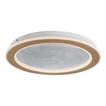 Rabalux - Luminária de teto LED dimerizável LED/24W/230V 3000-6500K Ø 40 cm + comando à distância