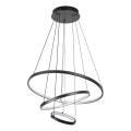 Rabalux - Lustre LED regulável suspenso por cabo LED/90W/230V 3000-6500K + controlo remoto