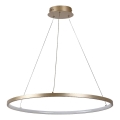 Rabalux - Lustre suspenso por cabo LED/55W/230V 3000K