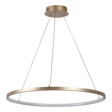 Rabalux - Lustre suspenso por cabo LED/55W/230V 3000K