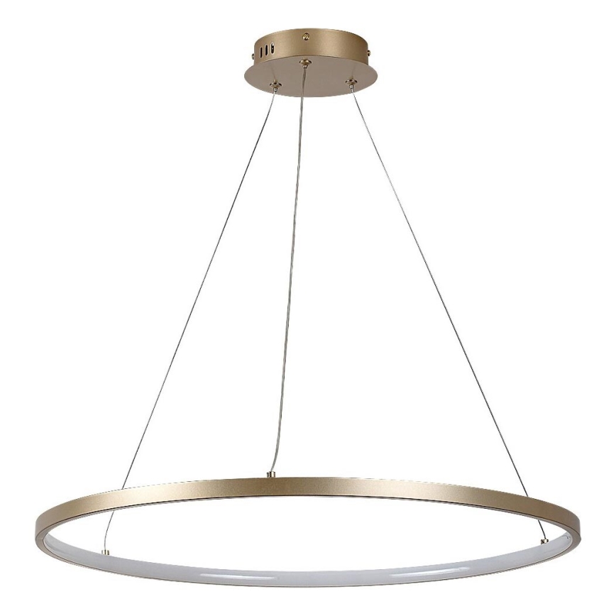 Rabalux - Lustre suspenso por cabo LED/55W/230V 3000K