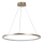 Rabalux - Lustre suspenso por cabo LED/55W/230V 3000K