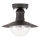 Rabalux - Luz de teto de exterior 1xE27/60W IP44