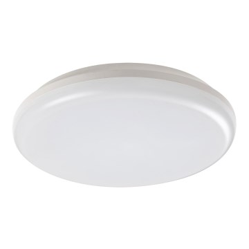 Rabalux - Luz de teto de exterior LED LED/24W/230V IP64