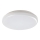 Rabalux - Luz de teto de exterior LED LED/24W/230V IP64