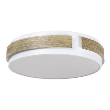 Rabalux - Luz de teto fosca LED LED/24W/230V