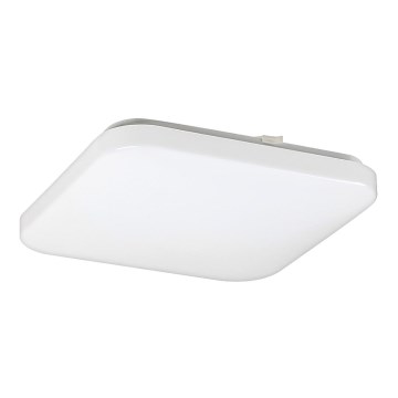 Rabalux - Luz de teto LED 1xLED/20W/230V