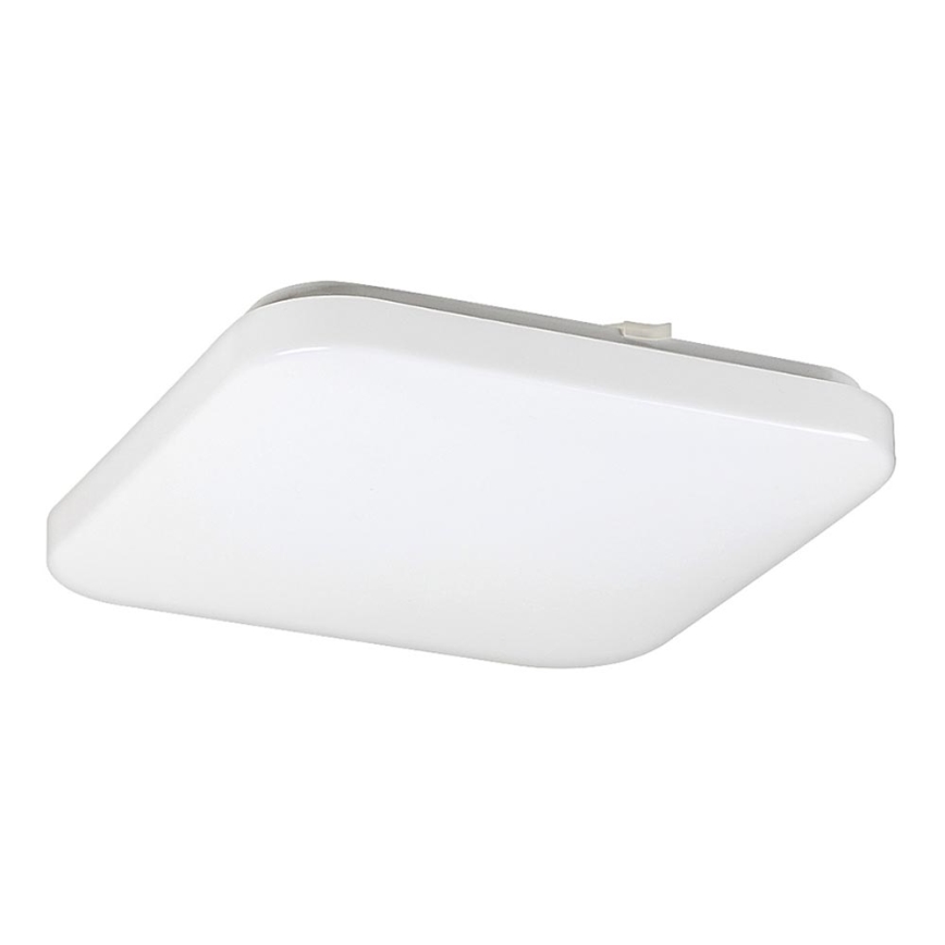 Rabalux - Luz de teto LED 1xLED/20W/230V