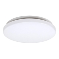 Rabalux - Luz de teto LED 1xLED/20W/230V