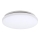 Rabalux - Luz de teto LED 1xLED/20W/230V