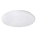 Rabalux - Luz de teto LED 1xLED/32W/230V